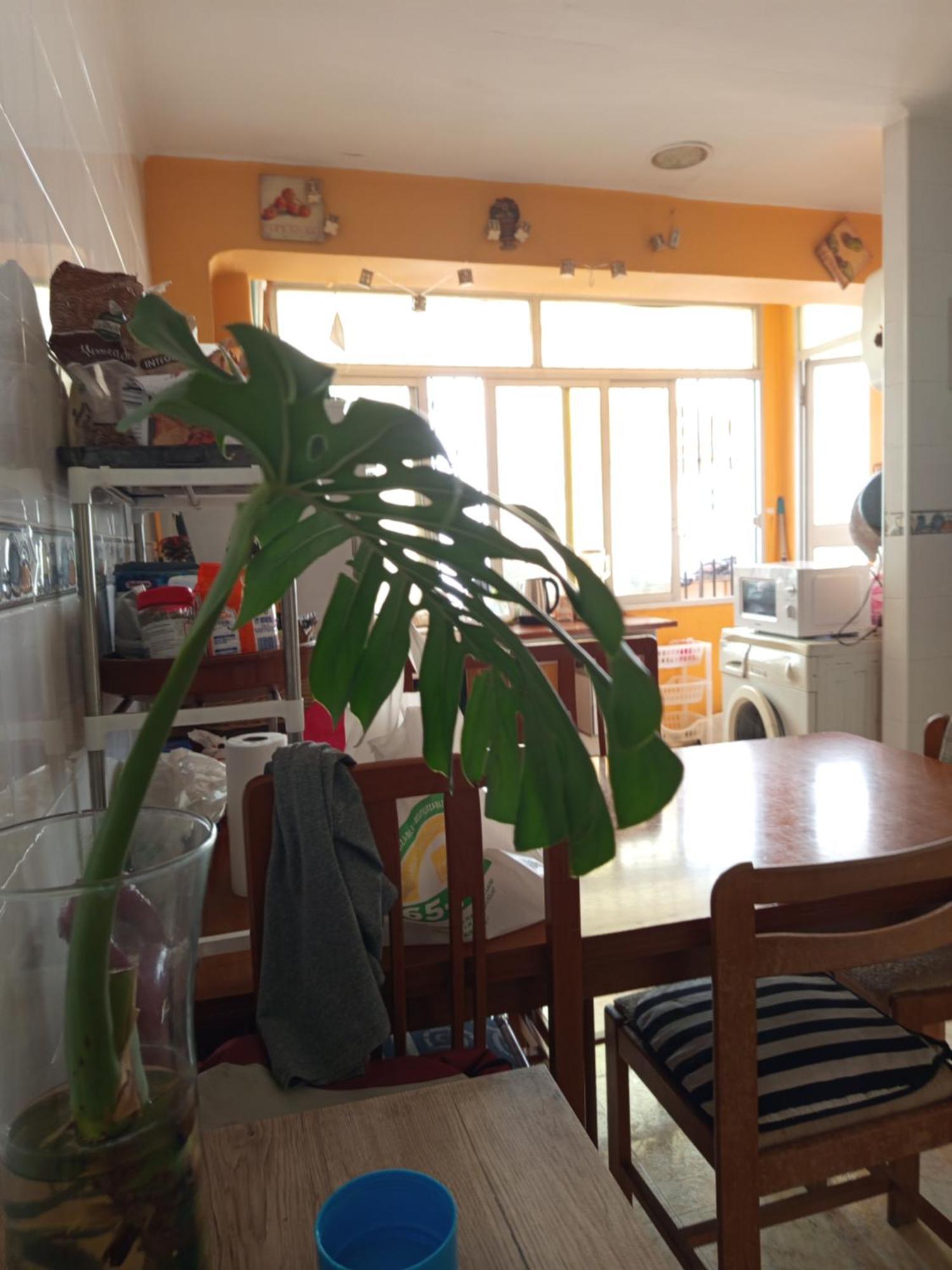 Habitaciones Comodas غانديا المظهر الخارجي الصورة